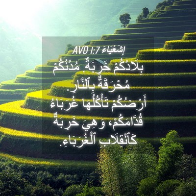 Picture 04 - إِشَعْيَاءَ 1:7 AVD - بِلَادُكُمْ خَرِبَةٌ. - Bible Verse Picture