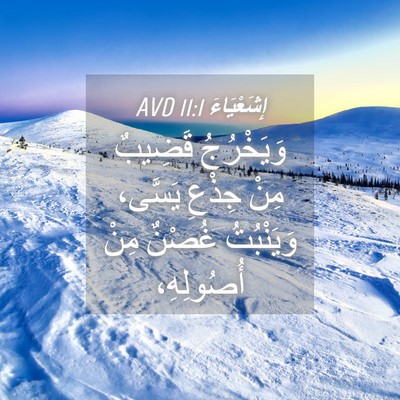 Picture 04 - إِشَعْيَاءَ 11:1 AVD - وَيَخْرُجُ قَضِيبٌ مِنْ - Bible Verse Picture