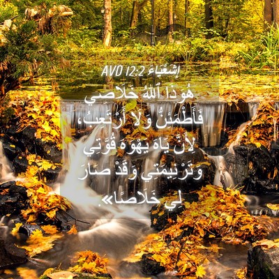 Picture 04 - إِشَعْيَاءَ 12:2 AVD - هُوَذَا ٱللهُ خَلَاصِي - Bible Verse Picture
