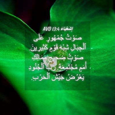 Picture 04 - إِشَعْيَاءَ 13:4 AVD - صَوْتُ جُمْهُورٍ عَلَى - Bible Verse Picture