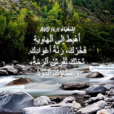 Picture 04 - إِشَعْيَاءَ 14:11 AVD - أُهْبِطَ إِلَى - Bible Verse Picture
