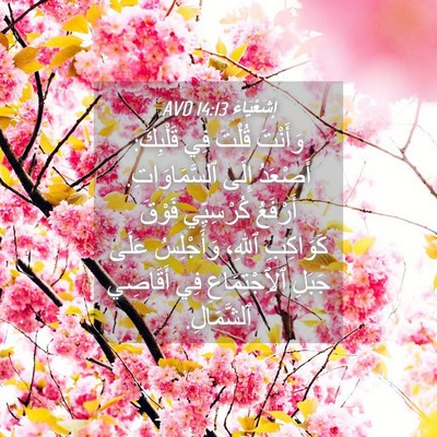Picture 04 - إِشَعْيَاءَ 14:13 AVD - وَأَنْتَ قُلْتَ فِي - Bible Verse Picture