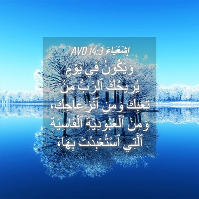 Picture 04 - إِشَعْيَاءَ 14:3 AVD - وَيَكُونُ فِي يَوْمٍ - Bible Verse Picture