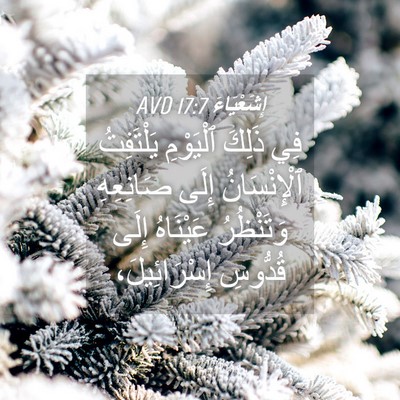 Picture 04 - إِشَعْيَاءَ 17:7 AVD - فِي ذَلِكَ ٱلْيَوْمِ - Bible Verse Picture
