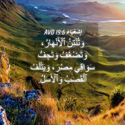 Picture 04 - إِشَعْيَاءَ 19:6 AVD - وَتُنْتِنُ ٱلْأَنْهَارُ، - Bible Verse Picture