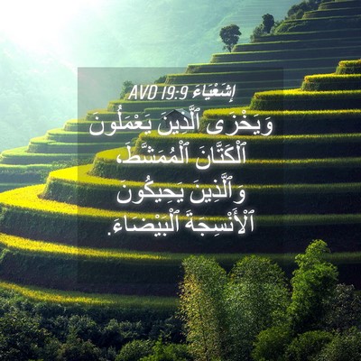 Picture 04 - إِشَعْيَاءَ 19:9 AVD - وَيَخْزَى ٱلَّذِينَ - Bible Verse Picture