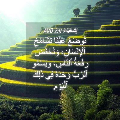 Picture 04 - إِشَعْيَاءَ 2:11 AVD - تُوضَعُ عَيْنَا تَشَامُخِ - Bible Verse Picture