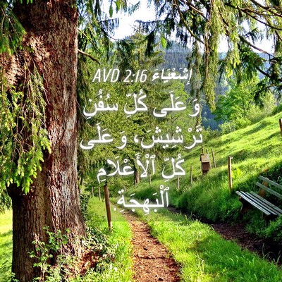 Picture 04 - إِشَعْيَاءَ 2:16 AVD - وَعَلَى كُلِّ سُفُنِ - Bible Verse Picture