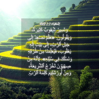 Picture 04 - إِشَعْيَاءَ 2:3 AVD - وَتَسِيرُ شُعُوبٌ - Bible Verse Picture