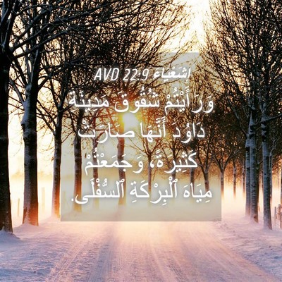 Picture 04 - إِشَعْيَاءَ 22:9 AVD - وَرَأَيْتُمْ شُقُوقَ - Bible Verse Picture