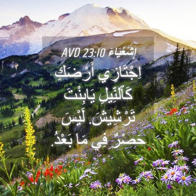 Picture 04 - إِشَعْيَاءَ 23:10 AVD - اِجْتَازِي أَرْضَكِ - Bible Verse Picture