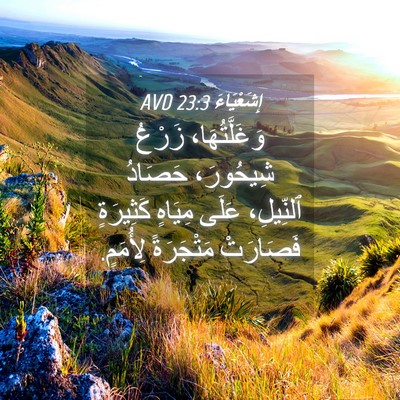 Picture 04 - إِشَعْيَاءَ 23:3 AVD - وَغَلَّتُهَا، زَرْعُ - Bible Verse Picture