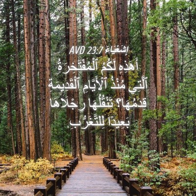 Picture 04 - إِشَعْيَاءَ 23:7 AVD - أَهَذِهِ لَكُمُ - Bible Verse Picture