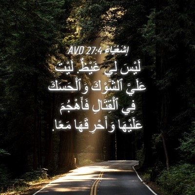 Picture 04 - إِشَعْيَاءَ 27:4 AVD - لَيْسَ لِي غَيْظٌ. لَيْتَ - Bible Verse Picture