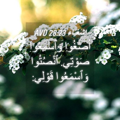 Picture 04 - إِشَعْيَاءَ 28:23 AVD - اُصْغُوا وَٱسْمَعُوا - Bible Verse Picture