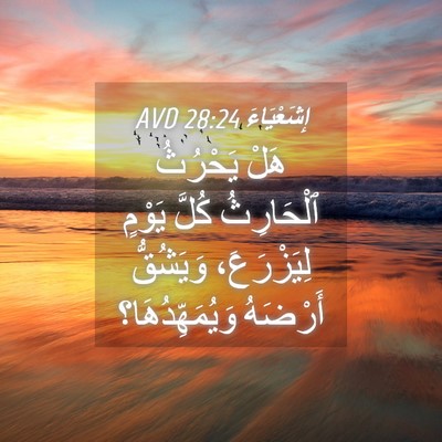 Picture 04 - إِشَعْيَاءَ 28:24 AVD - هَلْ يَحْرُثُ ٱلْحَارِثُ - Bible Verse Picture