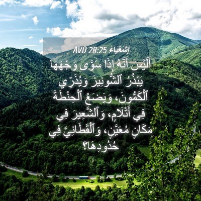 Picture 04 - إِشَعْيَاءَ 28:25 AVD - أَلَيْسَ أَنَّهُ إِذَا - Bible Verse Picture