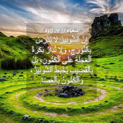 Picture 04 - إِشَعْيَاءَ 28:27 AVD - إِنَّ ٱلشُّونِيزَ لَا - Bible Verse Picture