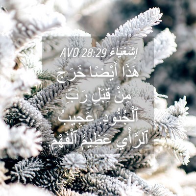 Picture 04 - إِشَعْيَاءَ 28:29 AVD - هَذَا أَيْضًا خَرَجَ مِنْ - Bible Verse Picture