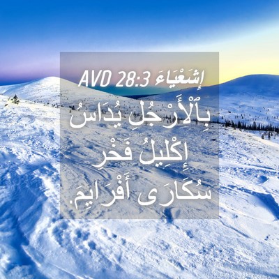 Picture 04 - إِشَعْيَاءَ 28:3 AVD - بِٱلْأَرْجُلِ يُدَاسُ - Bible Verse Picture