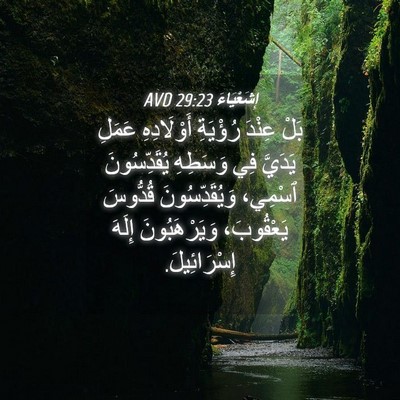 Picture 04 - إِشَعْيَاءَ 29:23 AVD - بَلْ عِنْدَ رُؤْيَةِ - Bible Verse Picture