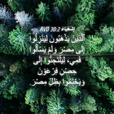 Picture 04 - إِشَعْيَاءَ 30:2 AVD - ٱلَّذِينَ يَذْهَبُونَ - Bible Verse Picture