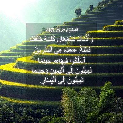 Picture 04 - إِشَعْيَاءَ 30:21 AVD - وَأُذُنَاكَ تَسْمَعَانِ - Bible Verse Picture