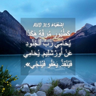 Picture 04 - إِشَعْيَاءَ 31:5 AVD - كَطُيُورٍ مُرِفَّةٍ - Bible Verse Picture