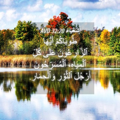 Picture 04 - إِشَعْيَاءَ 32:20 AVD - طُوبَاكُمْ أَيُّهَا - Bible Verse Picture