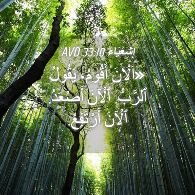 Picture 04 - إِشَعْيَاءَ 33:10 AVD - «اَلْآنَ أَقُومُ، يَقُولُ - Bible Verse Picture
