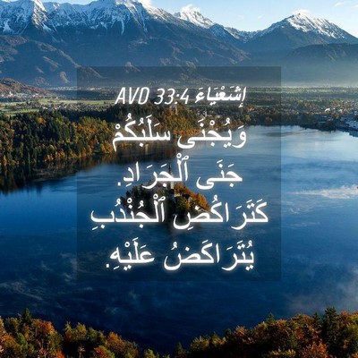 Picture 04 - إِشَعْيَاءَ 33:4 AVD - وَيُجْنَى سَلَبُكُمْ - Bible Verse Picture