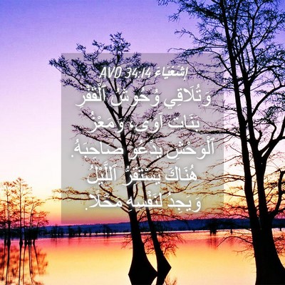 Picture 04 - إِشَعْيَاءَ 34:14 AVD - وَتُلَاقِي وُحُوشُ - Bible Verse Picture