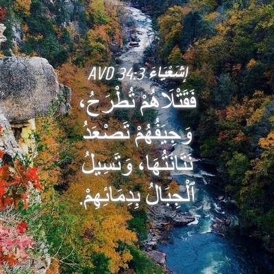 Picture 04 - إِشَعْيَاءَ 34:3 AVD - فَقَتْلَاهُمْ تُطْرَحُ، - Bible Verse Picture
