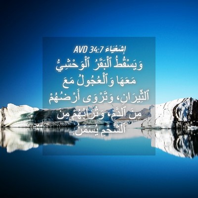 Picture 04 - إِشَعْيَاءَ 34:7 AVD - وَيَسْقُطُ ٱلْبَقَرُ - Bible Verse Picture
