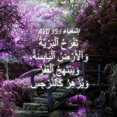 Picture 04 - إِشَعْيَاءَ 35:1 AVD - تَفْرَحُ ٱلْبَرِّيَّةُ - Bible Verse Picture