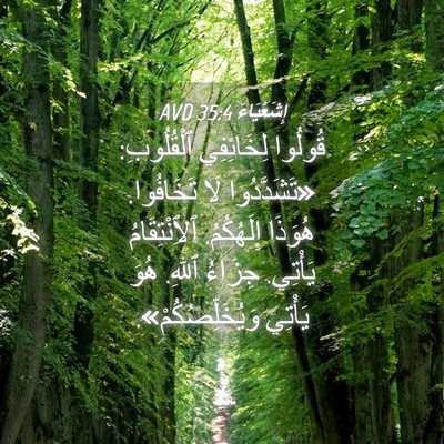 Picture 04 - إِشَعْيَاءَ 35:4 AVD - قُولُوا لِخَائِفِي - Bible Verse Picture