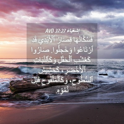 Picture 04 - إِشَعْيَاءَ 37:27 AVD - فَسُكَّانُهَا قِصَارُ - Bible Verse Picture