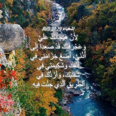 Picture 04 - إِشَعْيَاءَ 37:29 AVD - لِأَنَّ هَيَجَانَكَ - Bible Verse Picture