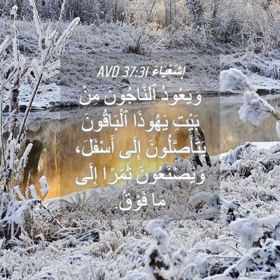 Picture 04 - إِشَعْيَاءَ 37:31 AVD - وَيَعُودُ ٱلنَّاجُونَ - Bible Verse Picture