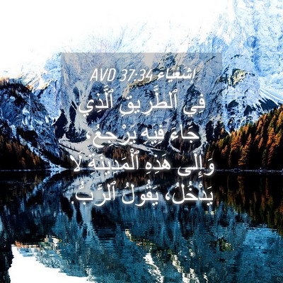 Picture 04 - إِشَعْيَاءَ 37:34 AVD - فِي ٱلطَّرِيقِ ٱلَّذِي - Bible Verse Picture