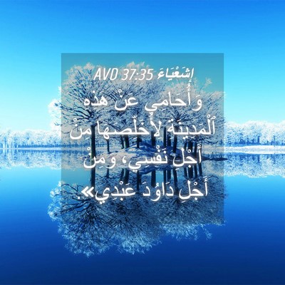 Picture 04 - إِشَعْيَاءَ 37:35 AVD - وَأُحَامِي عَنْ هَذِهِ - Bible Verse Picture