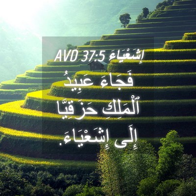 Picture 04 - إِشَعْيَاءَ 37:5 AVD - فَجَاءَ عَبِيدُ ٱلْمَلِكِ - Bible Verse Picture