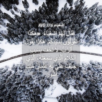 Picture 04 - إِشَعْيَاءَ 37:6 AVD - فَقَالَ لَهُمْ - Bible Verse Picture