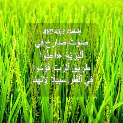 Picture 04 - إِشَعْيَاءَ 40:3 AVD - صَوْتُ صَارِخٍ فِي - Bible Verse Picture