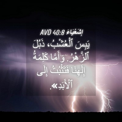 Picture 04 - إِشَعْيَاءَ 40:8 AVD - يَبِسَ ٱلْعُشْبُ، ذَبُلَ - Bible Verse Picture