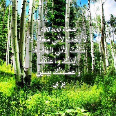 Picture 04 - إِشَعْيَاءَ 41:10 AVD - لَا تَخَفْ لِأَنِّي - Bible Verse Picture