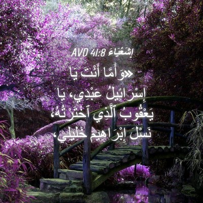 Picture 04 - إِشَعْيَاءَ 41:8 AVD - «وَأَمَّا أَنْتَ يَا - Bible Verse Picture