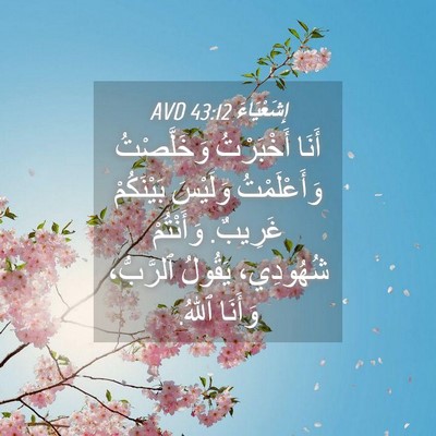 Picture 04 - إِشَعْيَاءَ 43:12 AVD - أَنَا أَخْبَرْتُ - Bible Verse Picture