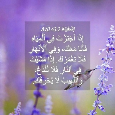 Picture 04 - إِشَعْيَاءَ 43:2 AVD - إِذَا ٱجْتَزْتَ فِي - Bible Verse Picture