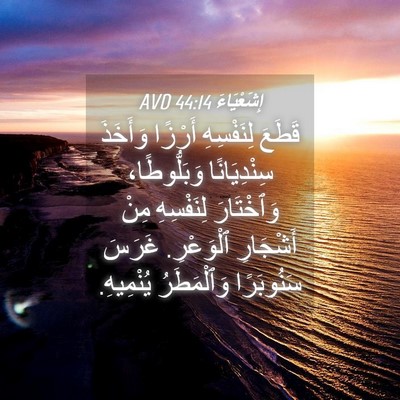 Picture 04 - إِشَعْيَاءَ 44:14 AVD - قَطَعَ لِنَفْسِهِ أَرْزًا - Bible Verse Picture